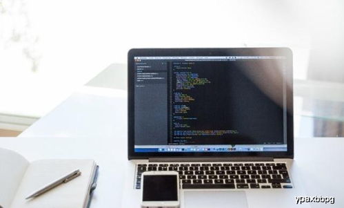 计算机软件开发 数字时代的核心引擎与高薪航道