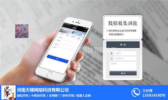 小程序开发与天梯网络技术 助推陕西数字化转型升级